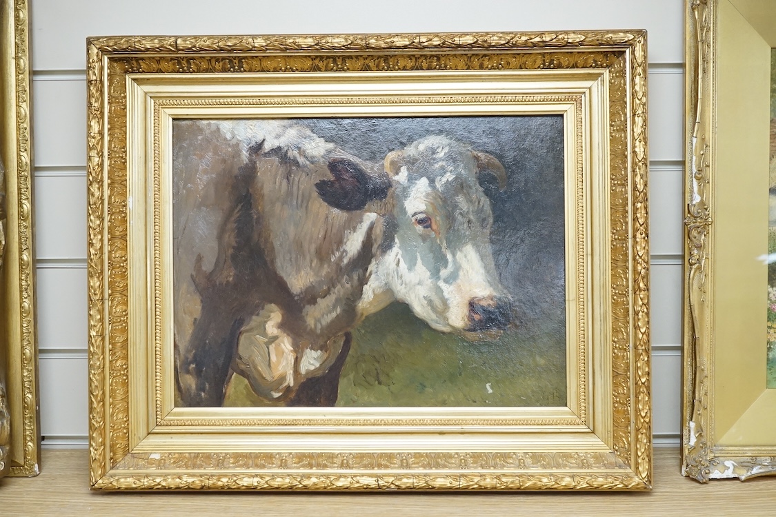 Impressionist oil on board, Study of a cow, initialled G B, 29 x 39cm, ornate gilt frame. Condition - good